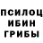 Псилоцибиновые грибы прущие грибы Maxim Savelev