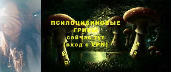 гашиш Абаза