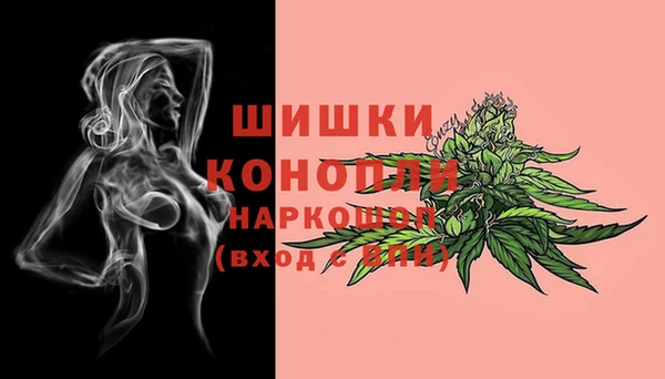 винт Лагань