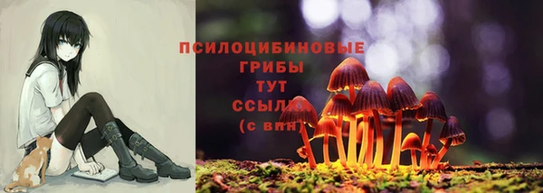 спиды Алексеевка