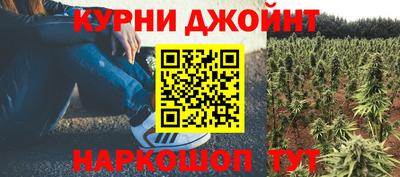 мет Дубна