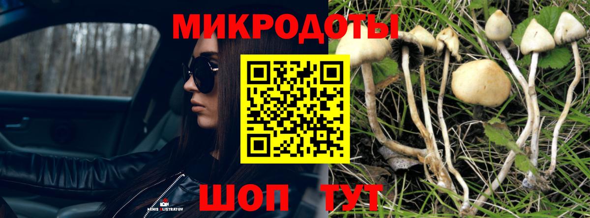 Галлюциногенные грибы мухоморы Иваново