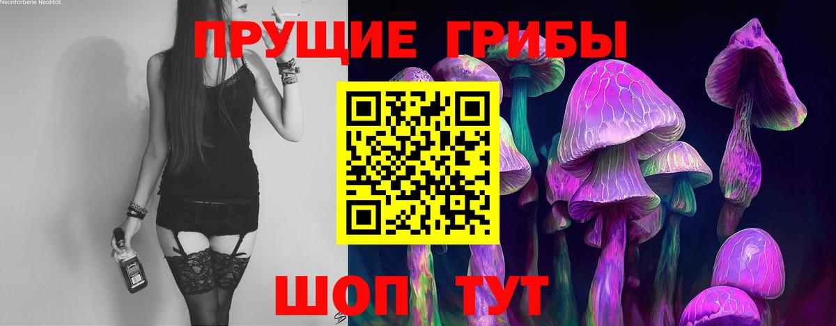 Галлюциногенные грибы прущие грибы  Вход с VPN  Иваново 
